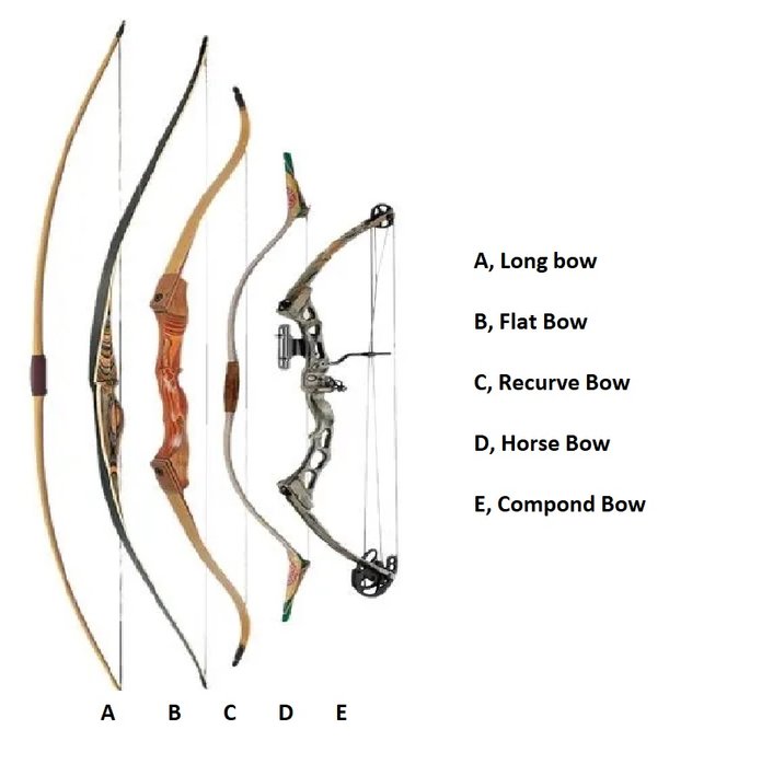 Types of Archery Bows